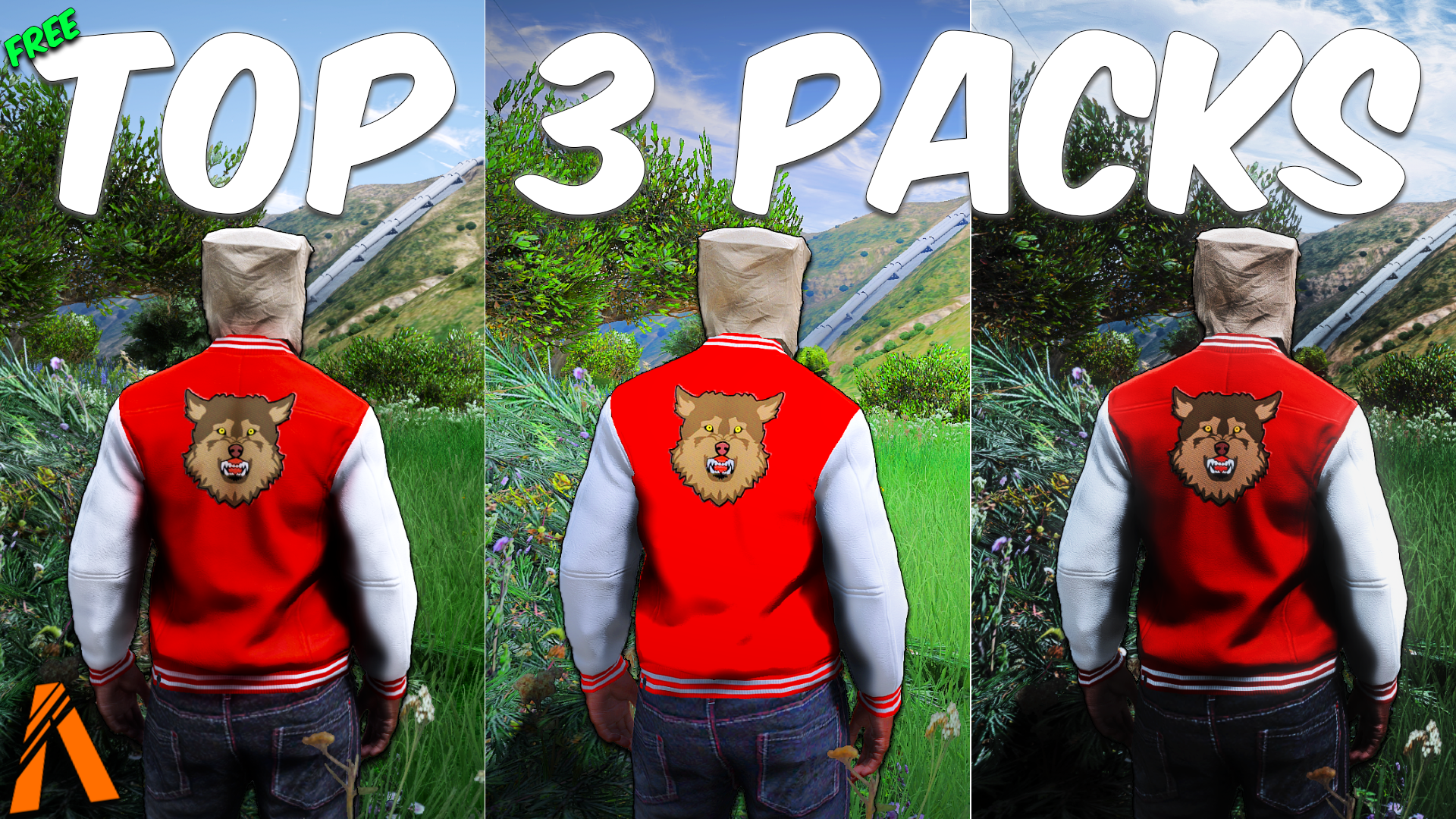 Top 3 Best Packs For FiveM